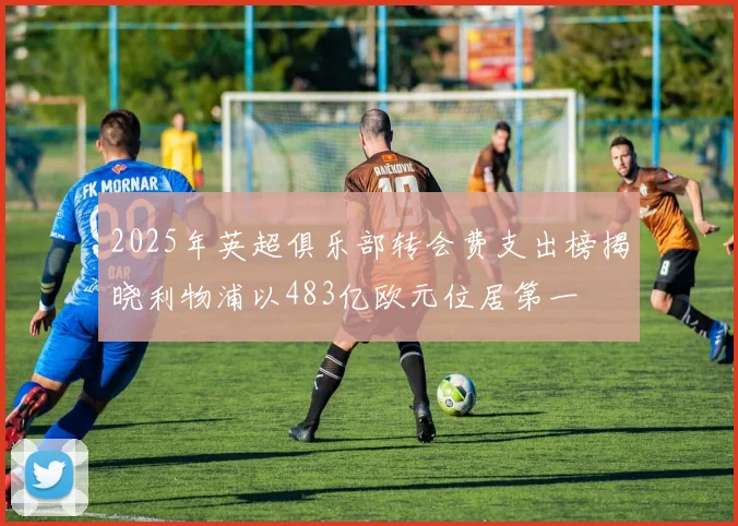 2025年英超俱乐部转会费支出榜揭晓利物浦以483亿欧元位居第一